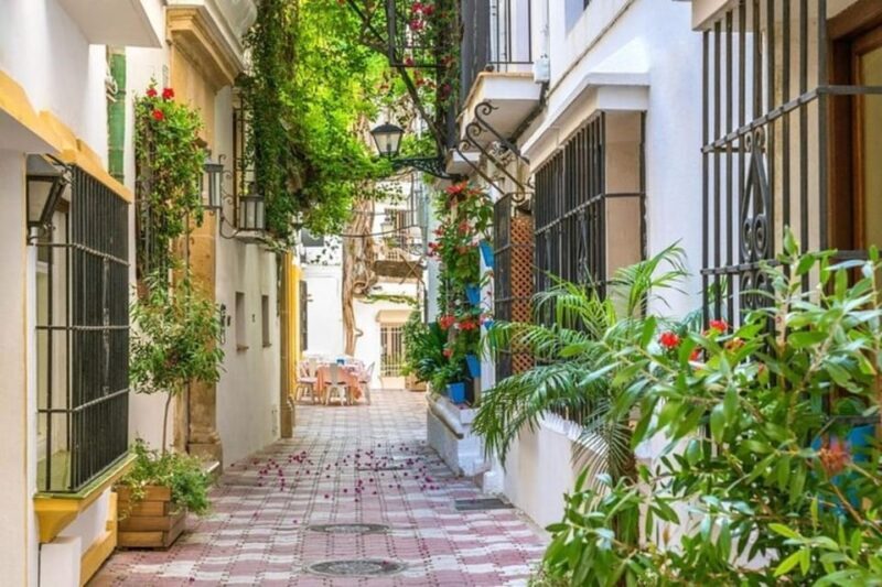 Marbella : Walking Custom Tour with a Local Guide - Analyzing the Value