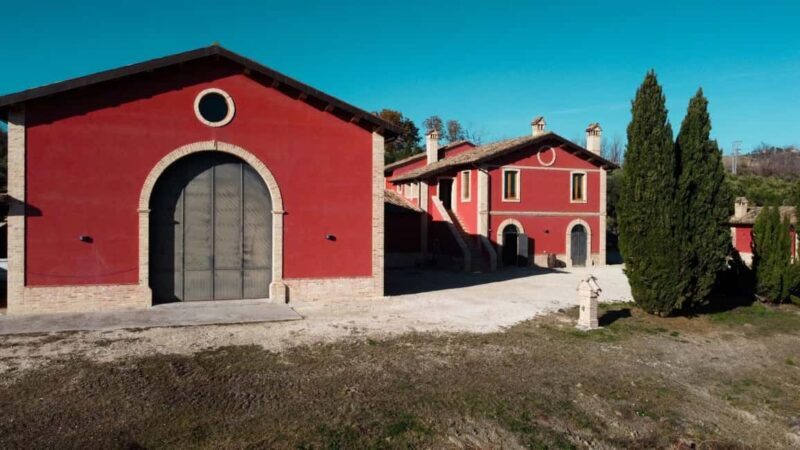 Marche: a unique visit and tasting at the D'Erasmo Winery among signature wines - Exploring the D’Erasmo Winery Experience in Detail