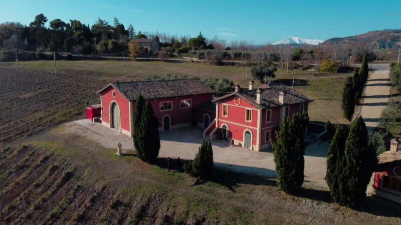 Marche: a unique visit and tasting at the D'Erasmo Winery among signature wines - Wrapping Up