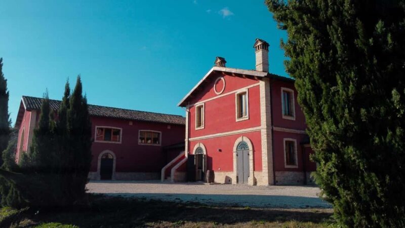 Marche: Tasting and Tour of Local Wines and Flavors at the D'Erasmo Winery - What You Can Expect from the DErasmo Winery Tour