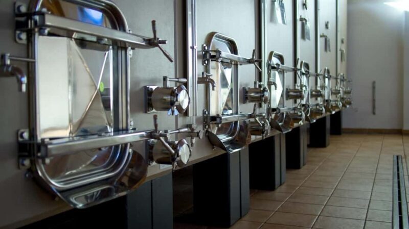 Marche: Tasting and Tour of Local Wines and Flavors at the D'Erasmo Winery - Final Thoughts: Who Will Love This Tour?