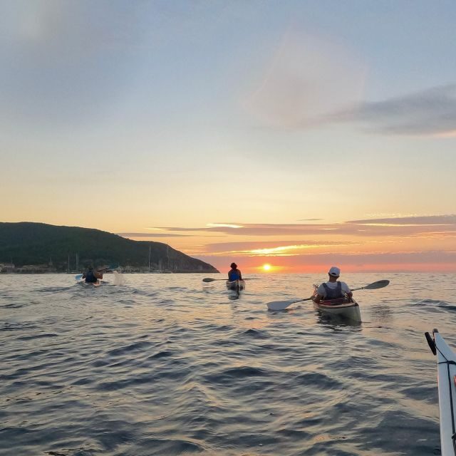 Marciana Marina: Evening Sea Kayaking Tour with Swim Stop - Key Points