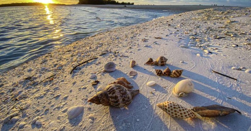 Marco Island: 2 Private Hour Sunset Boat Tour - What to Expect from the Marco Island Sunset Boat Tour