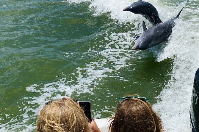 Marco Island and 10,000 Islands Sightseeing with Dolphin Tour - Final Thoughts