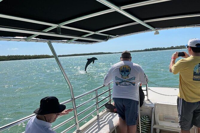 Marco Island Dolphin Sightseeing Tour - Final Thoughts