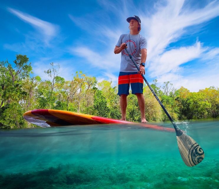 Marco Island: Guided Manatee-Watching Kayaking or SUP Tour - Price and Value