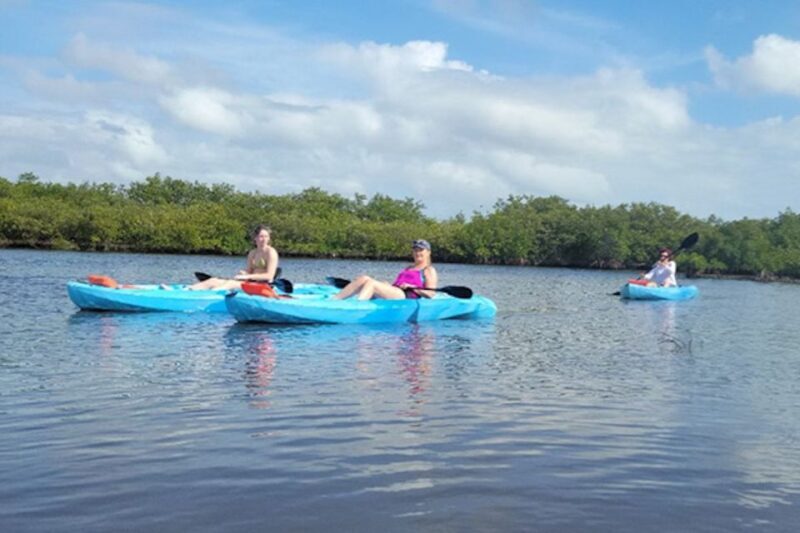 Marco Island: Guided Manatee-Watching Kayaking or SUP Tour - Practical Details