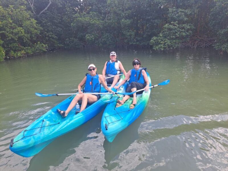 Marco Island: Kayak Mangrove Ecotour in Rookery Bay Reserve - What to Expect from the Tour