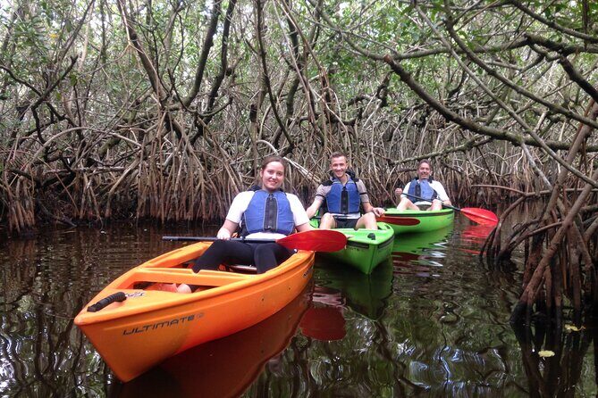 Marco Island Mangrove Tunnel and Maze Adventure Small group size - Key takeaways