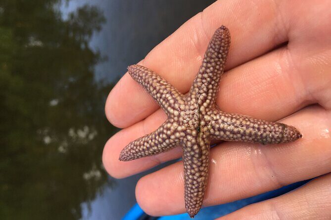Marco Island Mangrove Tunnel and Maze Adventure Small group size - Final thoughts