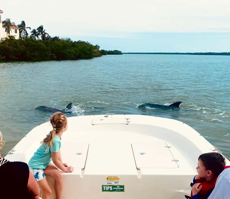 Marco Island: Private Shelling & Dolphin Excursion - An In-Depth Look at the Tour