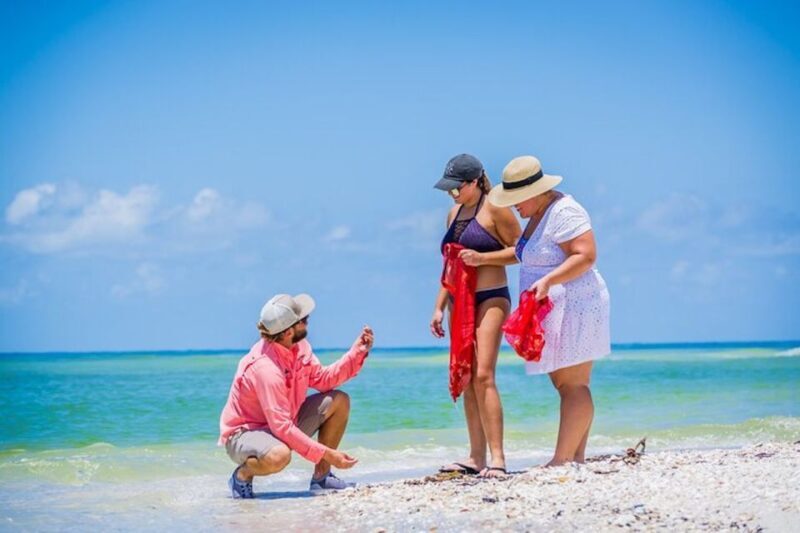 Marco Island: Shelling and Sightseeing Boat Cruise - Key Points