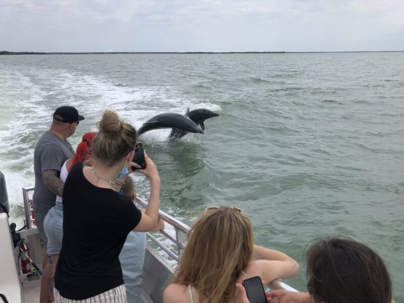 Marco Island: Ten Thousand Islands Shelling & Dolphin Tour - Key Points