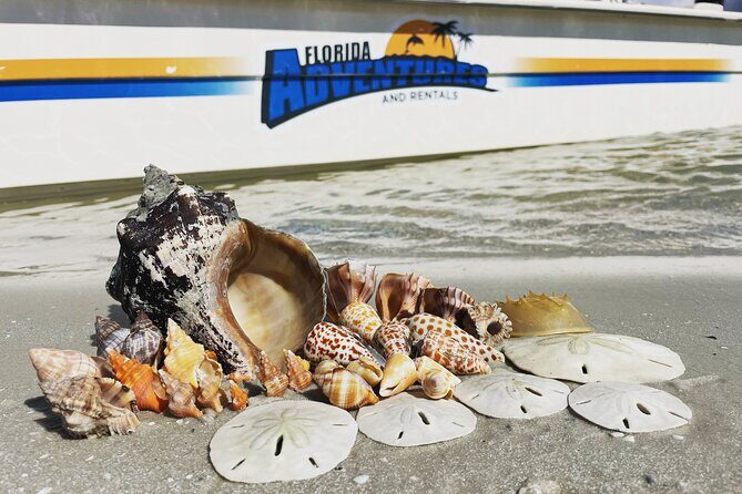 Marco Island Wildlife Sightseeing and Shelling Tour - What to Expect from the Tour