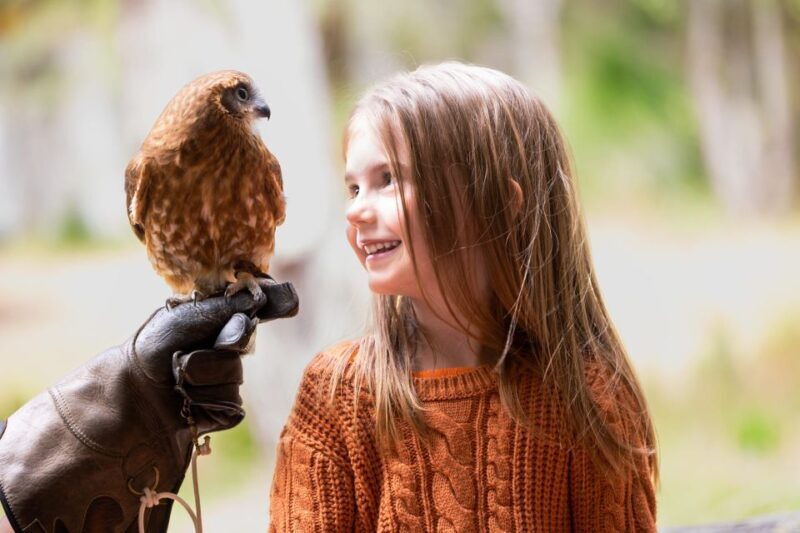Margaret River: Birds of Prey Encounter and Forest Walk - Who Is This Tour Best For?