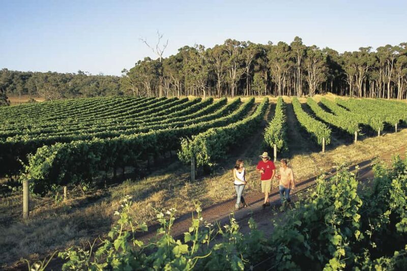 Margaret River, Chocolate, Wine & Coast Day Trip from Perth - Transportation and Duration