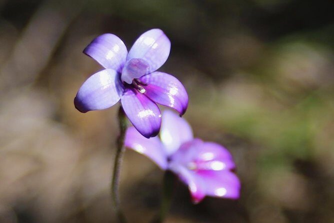 Margaret River Coastal and Wildlife Eco Trip from Busselton or Dunsborough - FAQs