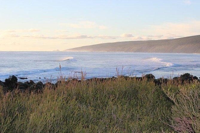 Margaret River Indulge and Discover Day Tour - Exploring the Itinerary: What You Can Expect