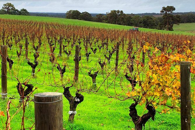 Margaret River Private Day Tours - The Heart of Margaret River