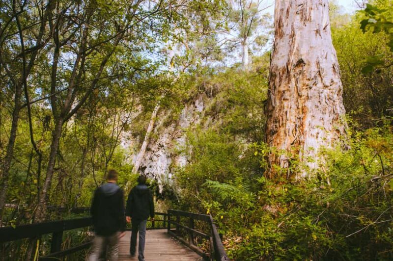 Margaret River: Self-Guided Audio Tour of Mammoth Cave - The Real Value of this Experience
