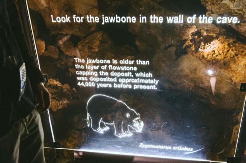 Margaret River: Self-Guided Audio Tour of Mammoth Cave - Practical Tips for Visiting