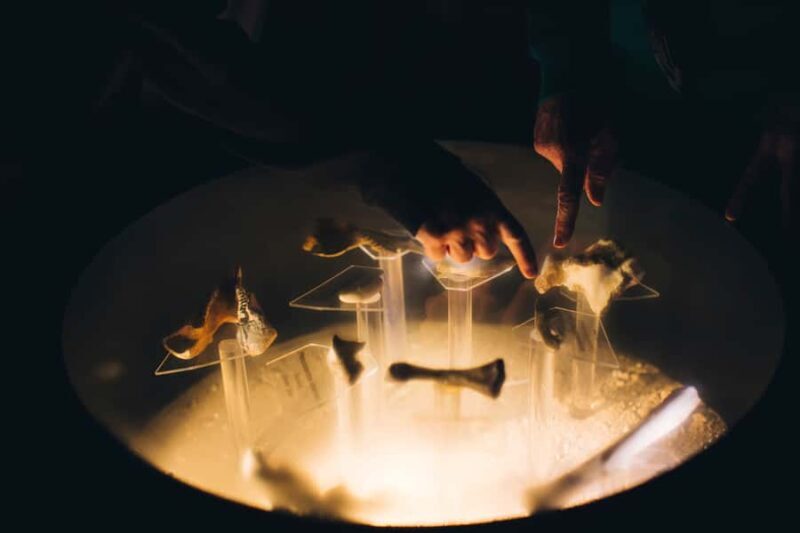 Margaret River: Self-Guided Audio Tour of Mammoth Cave - Final Thoughts