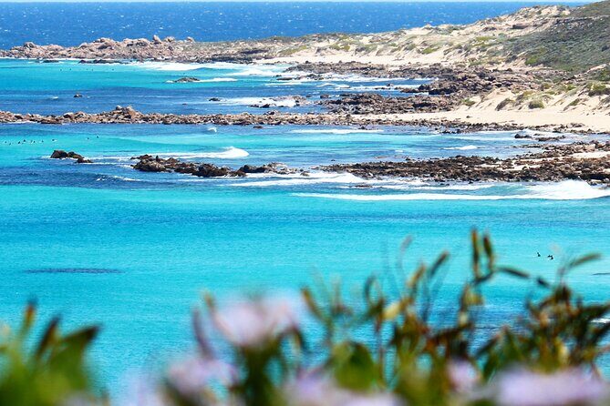 Margaret River Wine and Sights Discovery Tour from Busselton or Dunsborough - The Experience — What Makes It Stand Out