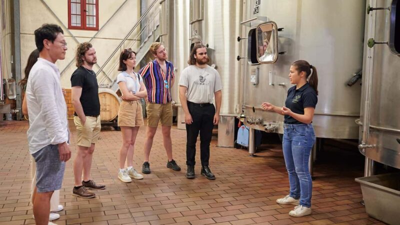 Margaux - Guided tour of the château and tasting of 4 wines - Price and Value