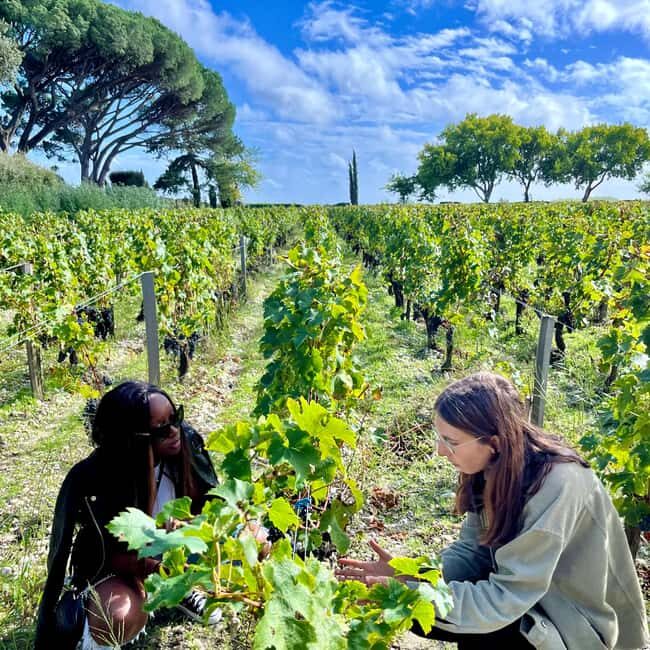 Margaux & Médoc private FULL day tour with a classic car - FAQs