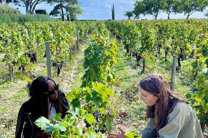 Margaux & the Medoc private wine tour in a classic Citroën car - Key Points