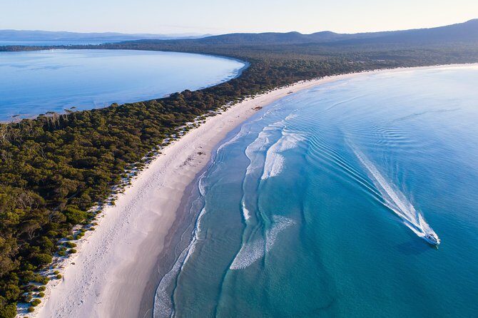 Maria Island Cruise and Guided Walk Day Tour with Lunch and Drinks - Key Points