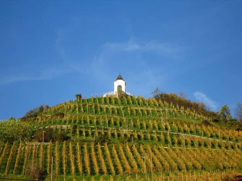 Maribor & Styria Tour with Wine Tasting - Possible Drawbacks and Considerations