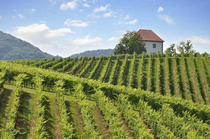 Maribor & Styria Tour with Wine Tasting - Is This Tour Right for You?