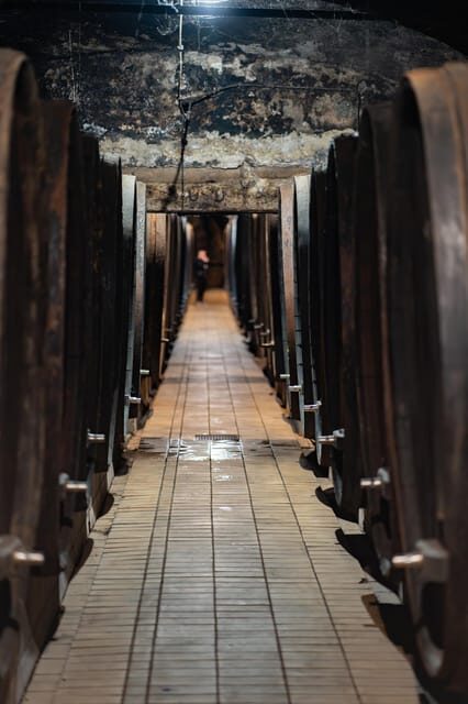 Maribor: Vinag Wine Cellar Tour with Wine tasting and snacks - Key Points