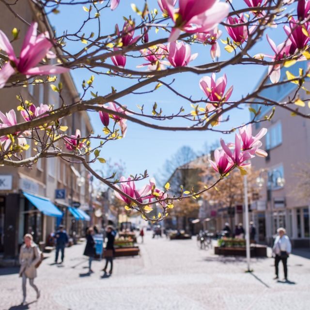 Mariehamn Private Guided Walking Tour - Final Thoughts