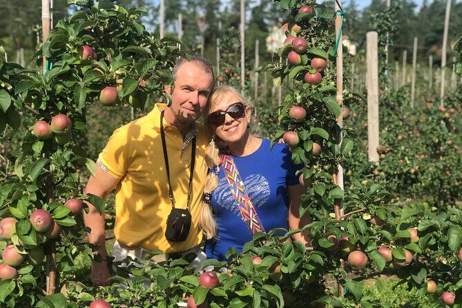 Mariehamn Private Guided Walking Tour - Who Should Consider This Tour?