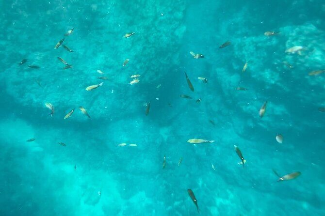 Marietas Islands PRIVATE for 2 px hidden beach 100% GUARANTEED - Final Thoughts