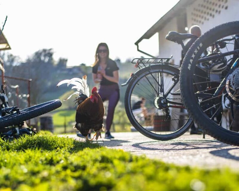 Marija Bistrica: E - bike ride to Gornja Stubica - Breaking Down the Cost and Value