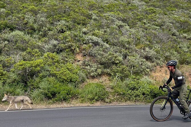 Marin Headlands Gravel Cycling Tour From San Francisco - What’s Included and What’s Not