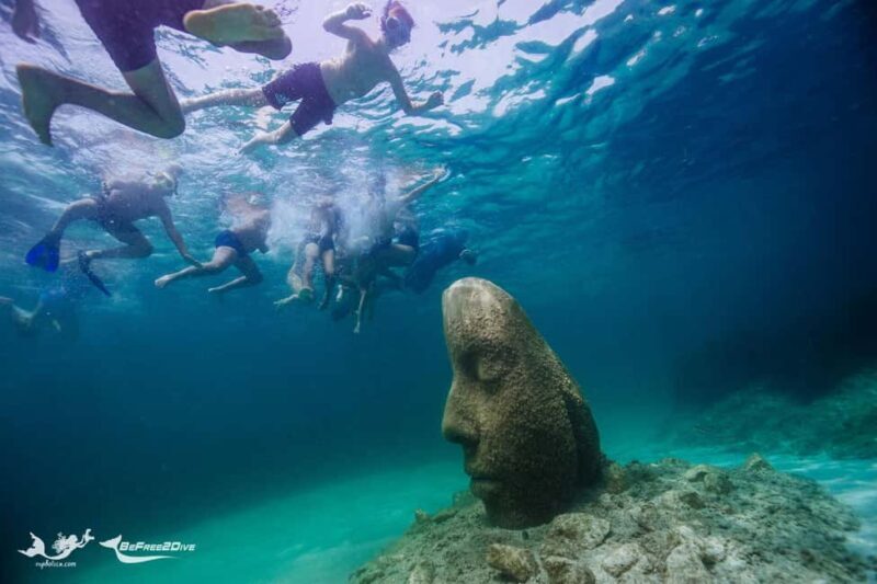 Marina Baie des Anges boat trip to the Pelagos Sanctuary - FAQ