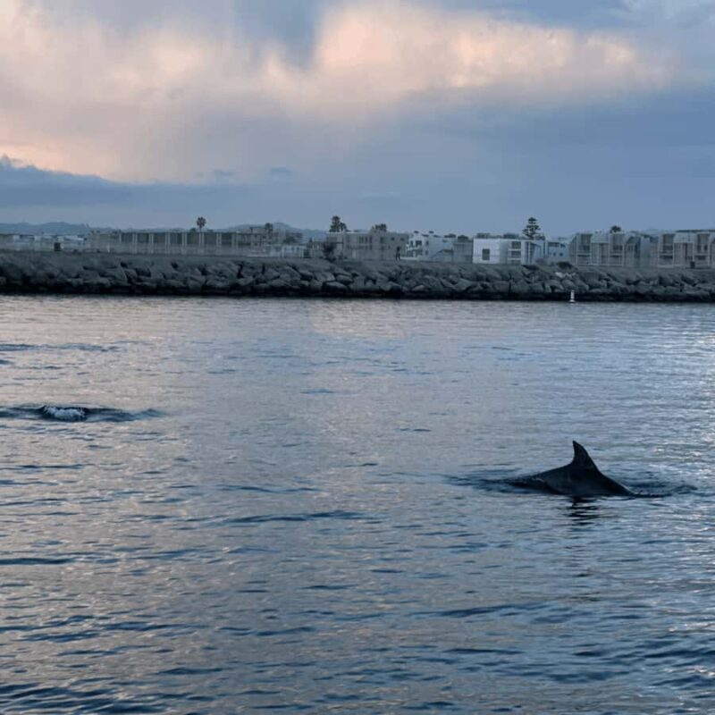 Marina del Rey: 1-Hour Boat Tour - Who It’s Best For