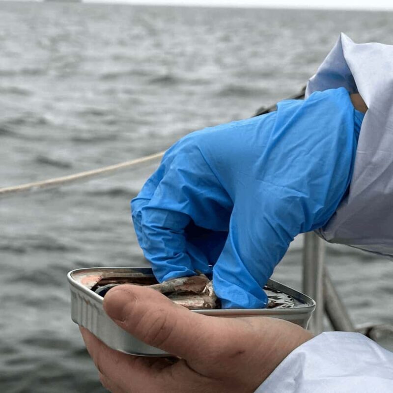 Marina del Rey: 1-Hour Boat Tour - Final Thoughts