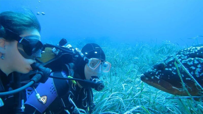 Marina di Campo: Try diving on the island of Elba - Authentic Traveler Insights