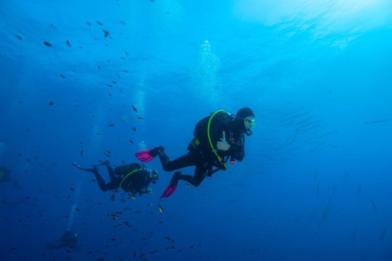 Marina di Campo: Try diving on the island of Elba - FAQ