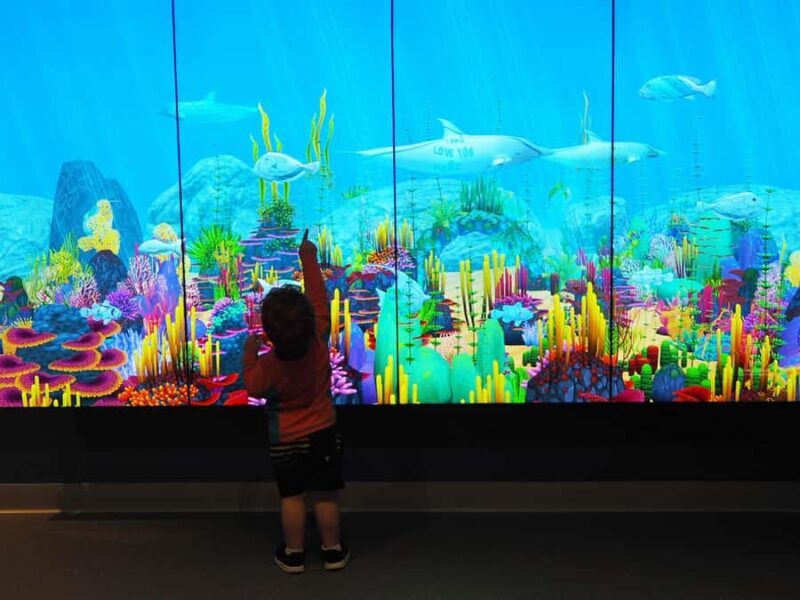 Marine Discovery Centre - A Deep Dive into the Marine Discovery Centre Experience