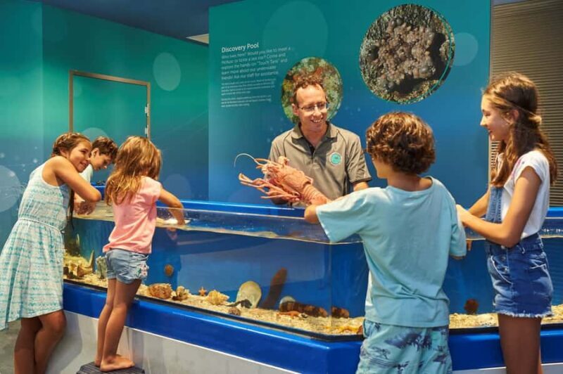Marine Discovery Centre - FAQ