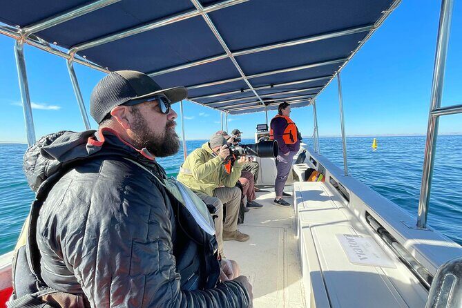 Marine Ecology Tour in La Paz Mexico - Key Points