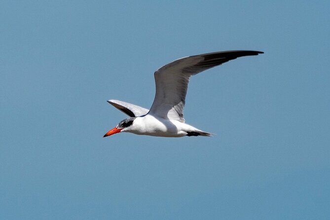 Marine Ecology Tour in La Paz Mexico - What You Can Expect from the Tour