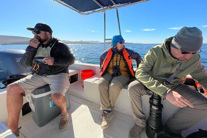 Marine Ecology Tour in La Paz Mexico - What Do Past Travelers Say?