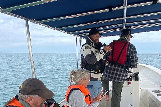 Marine Ecology Tour in La Paz Mexico - The Sum Up: Is It Worth It?